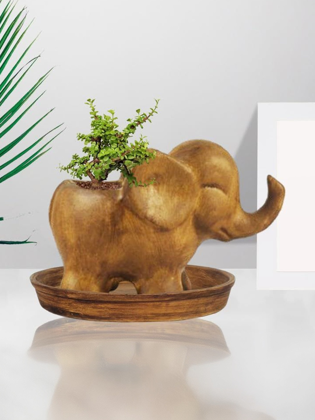 LASAKI Brown & Gold-Toned Textured Ceramic Durable Planter With Plate