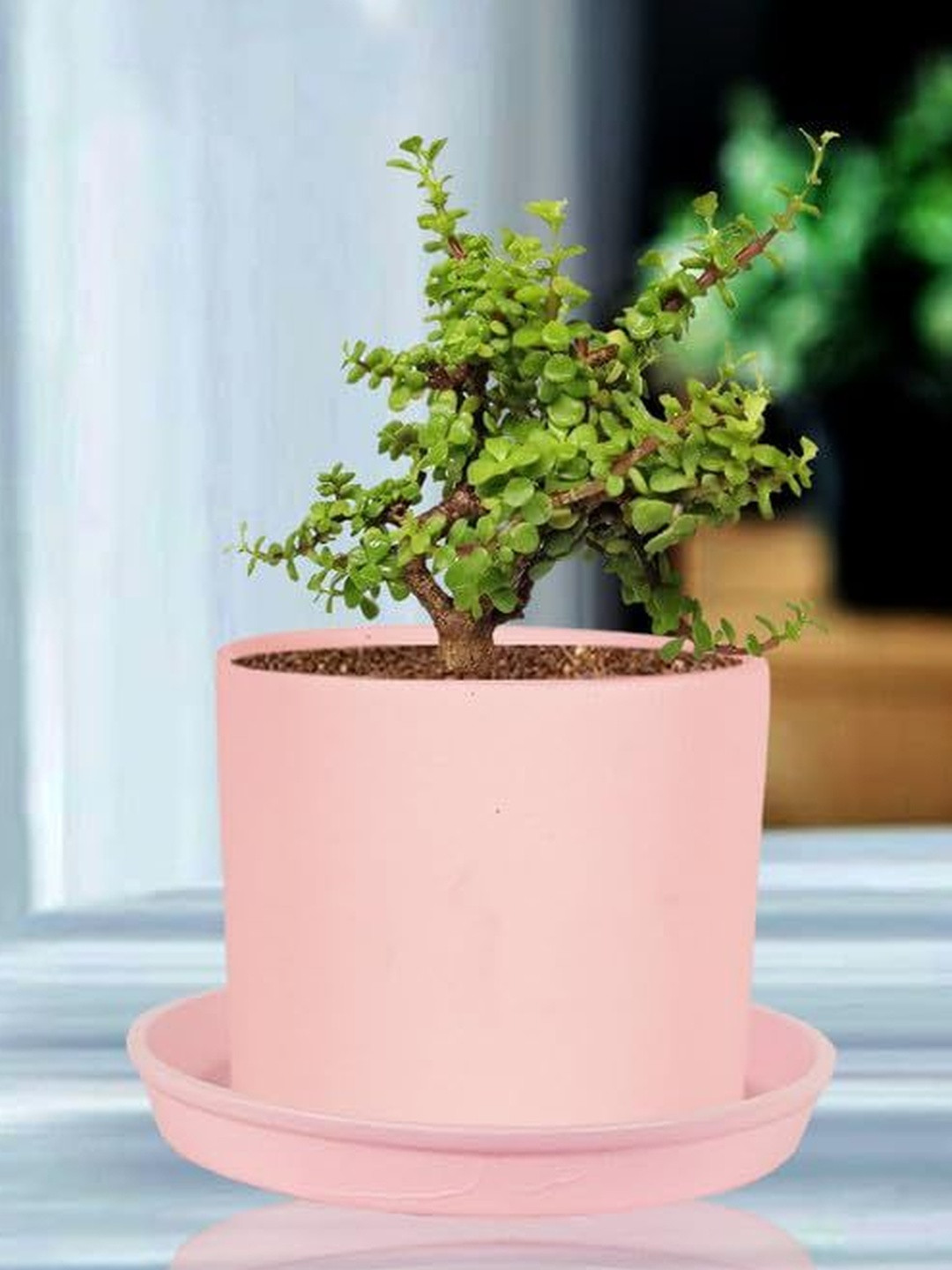 LASAKI Sara Pink Textured Ceramic Durable Planter With Plate