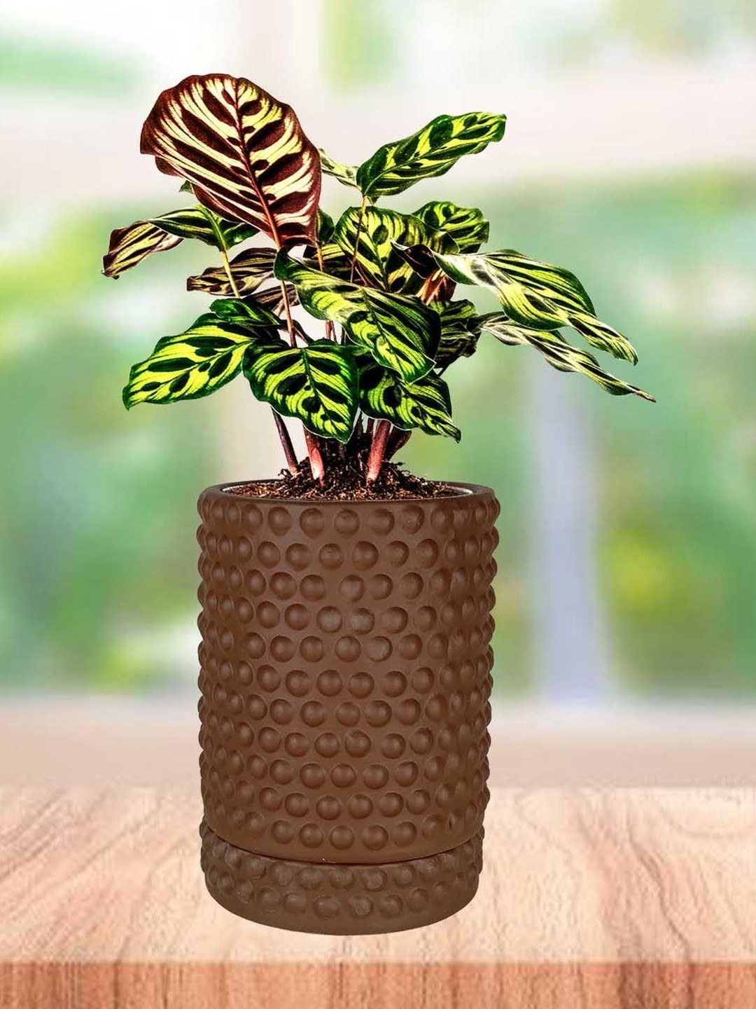 LASAKI Bubble Brown Ceramic Handmade Planter With Plate