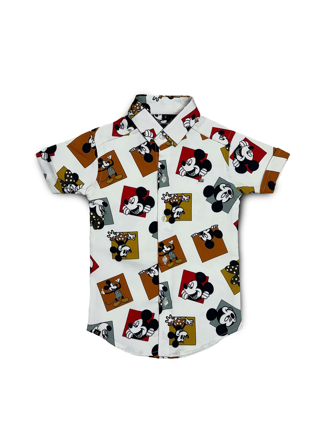 Havok kids Boys Graphic Printed Classic Relaxed Fit Cotton Shirt