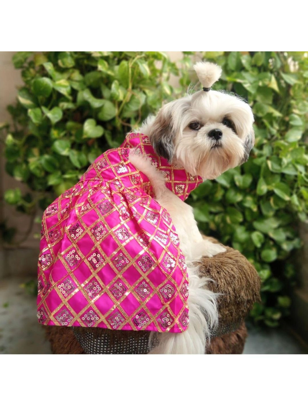 Lulala Embellished Traditional Ethnic Indian Outfit Dog Dress