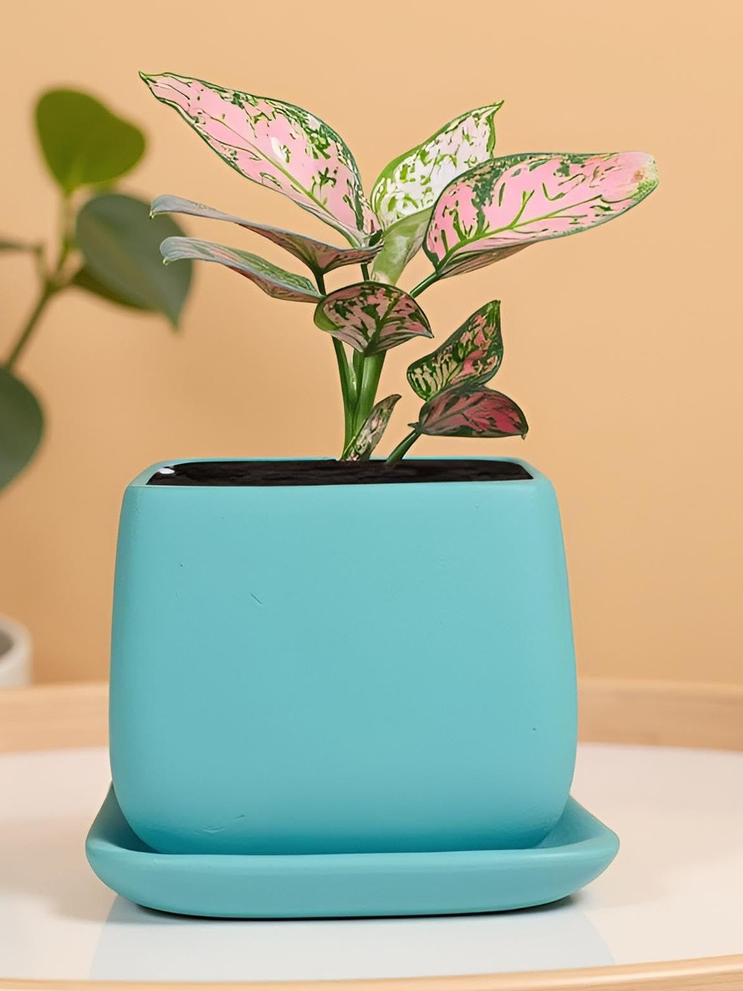 LASAKI Nebi Blue Ceramic Planter With Plate