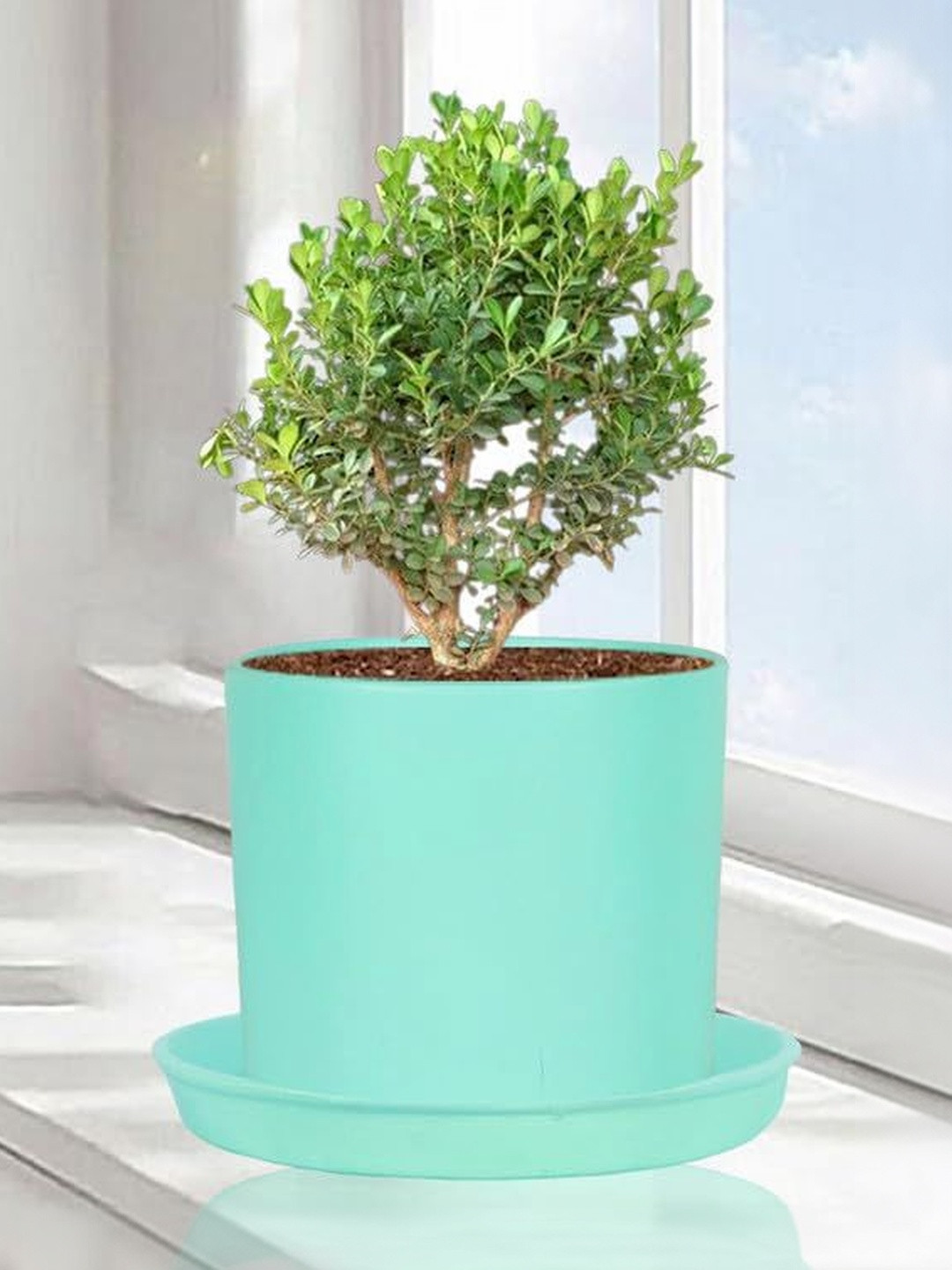 LASAKI Sara Blue Ceramic Planter With Plate