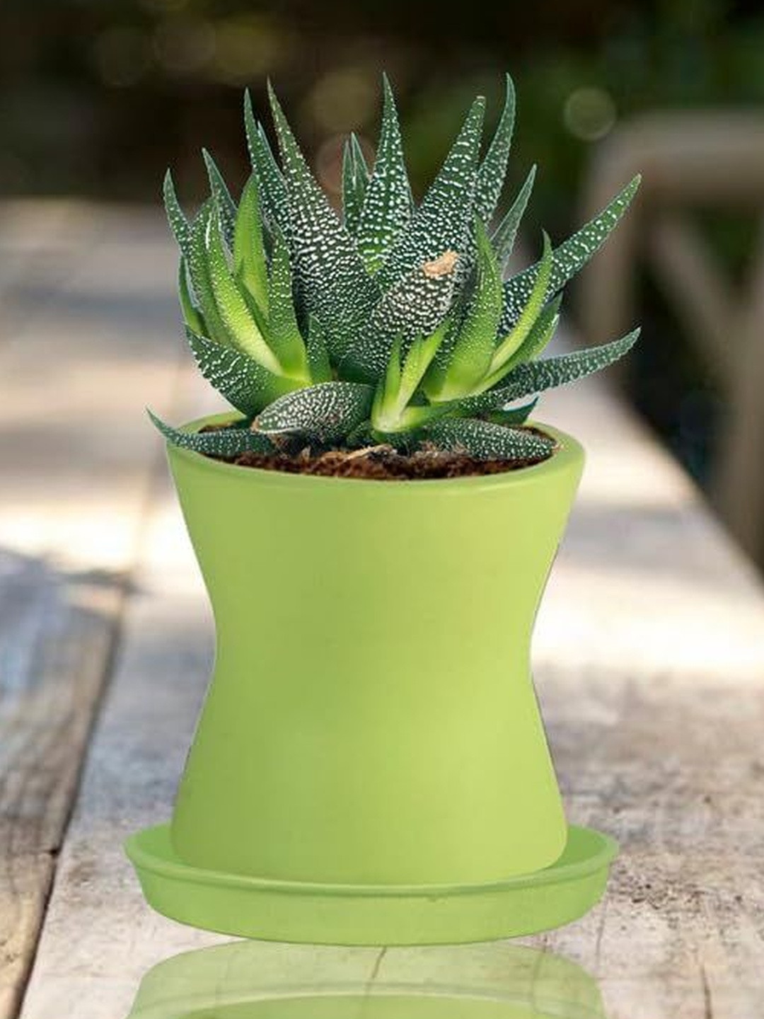 LASAKI Green Ceramic Planter With Plate