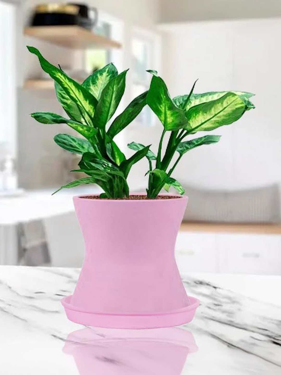 LASAKI Purple Ceramic Planter With Plate