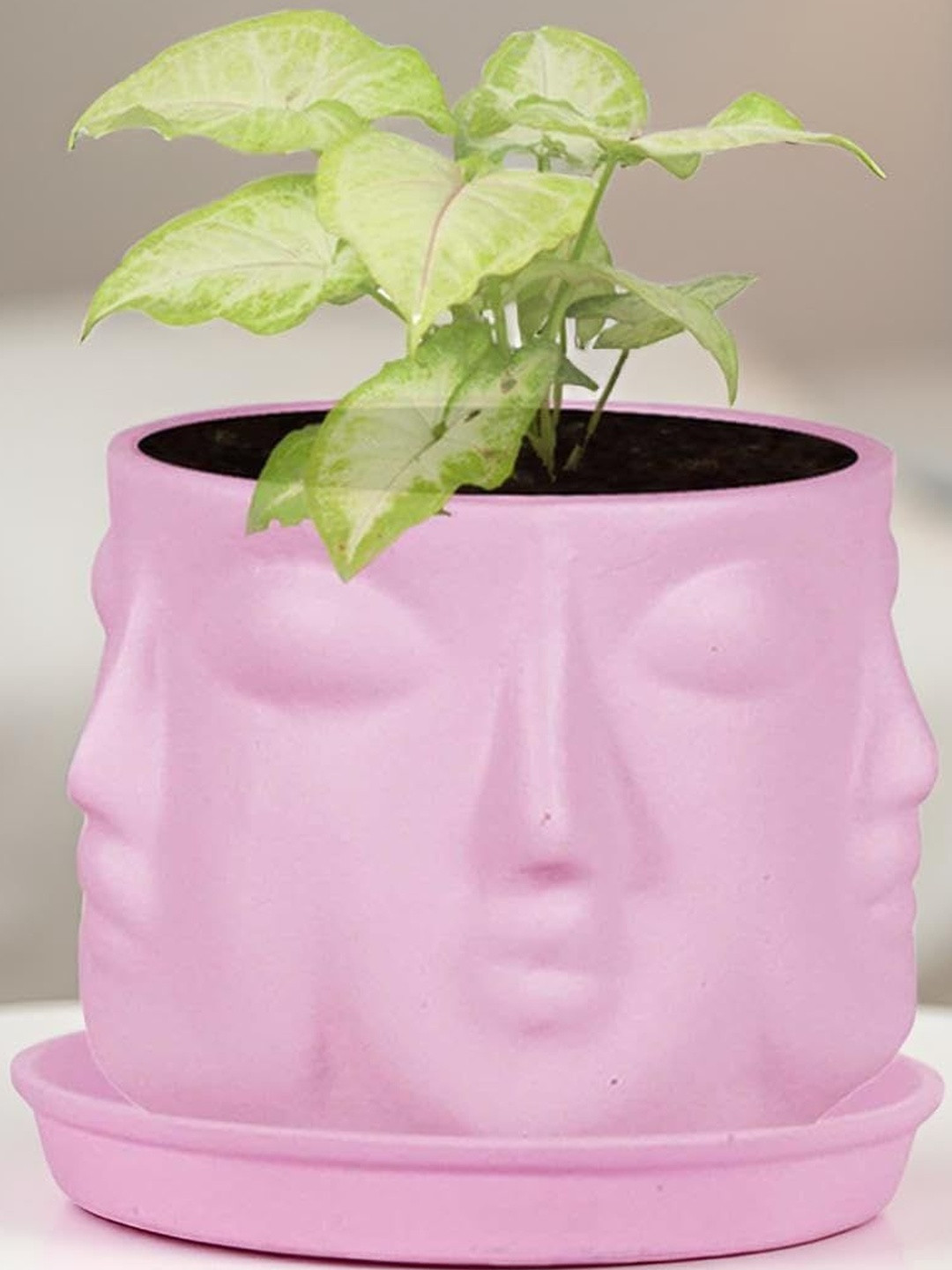 LASAKI Purple Textured Ceramic Planter With Plate