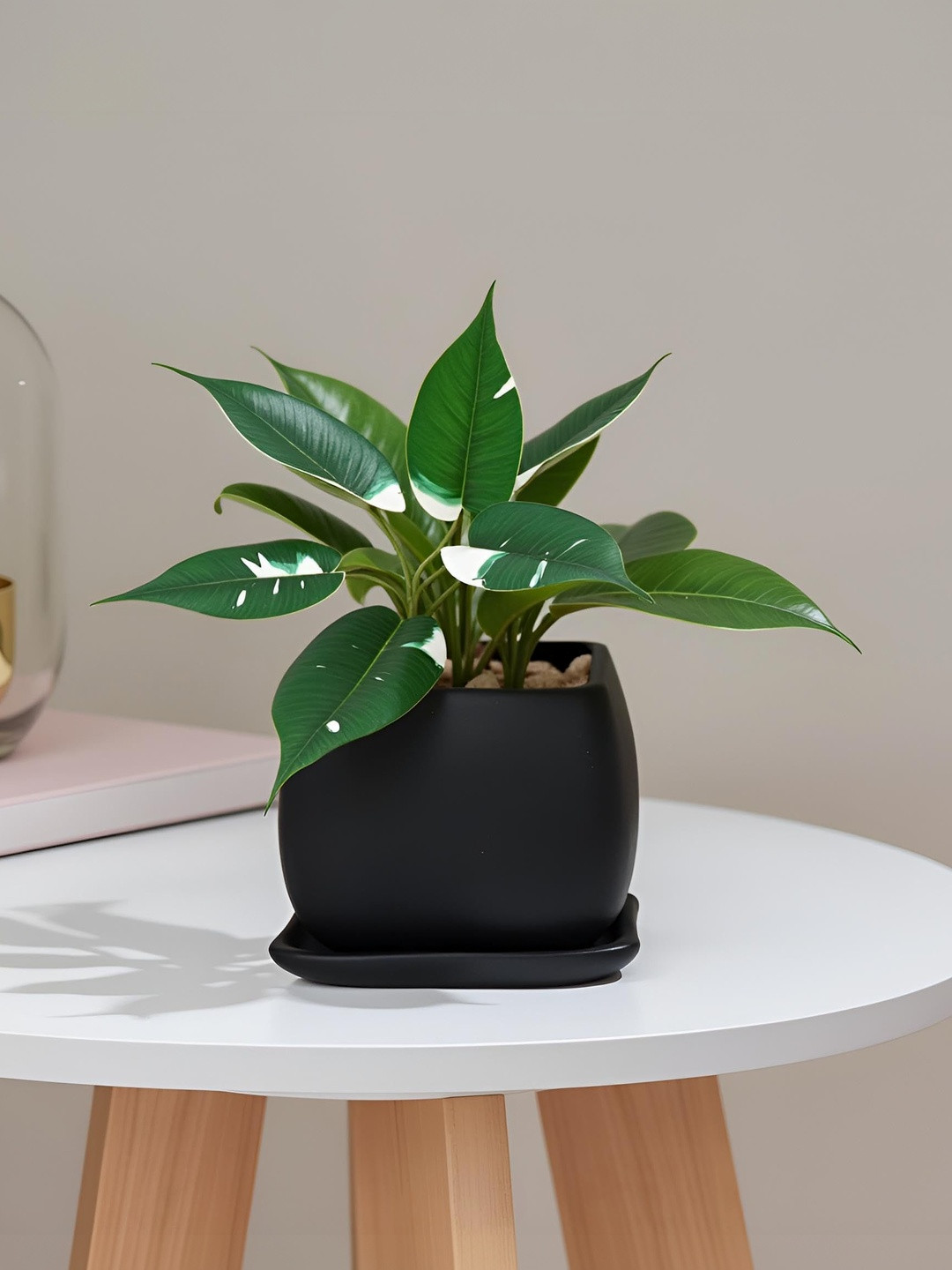 LASAKI Nebi Black Ceramic Planter With Plate