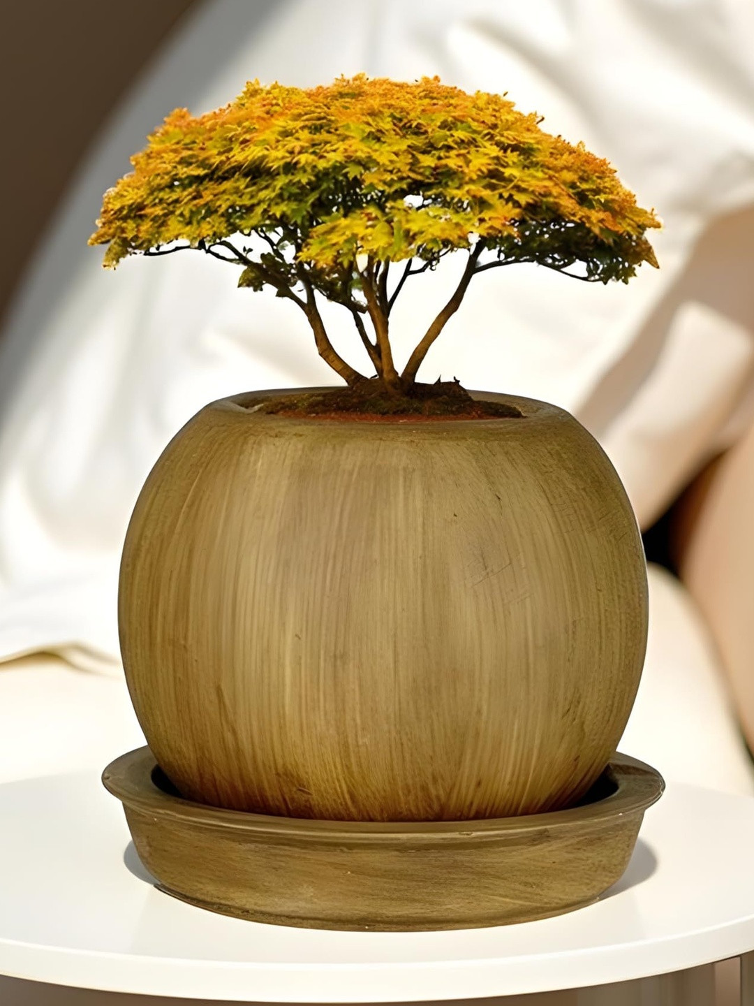 LASAKI Peblo Brown Ceramic Planter With Plate