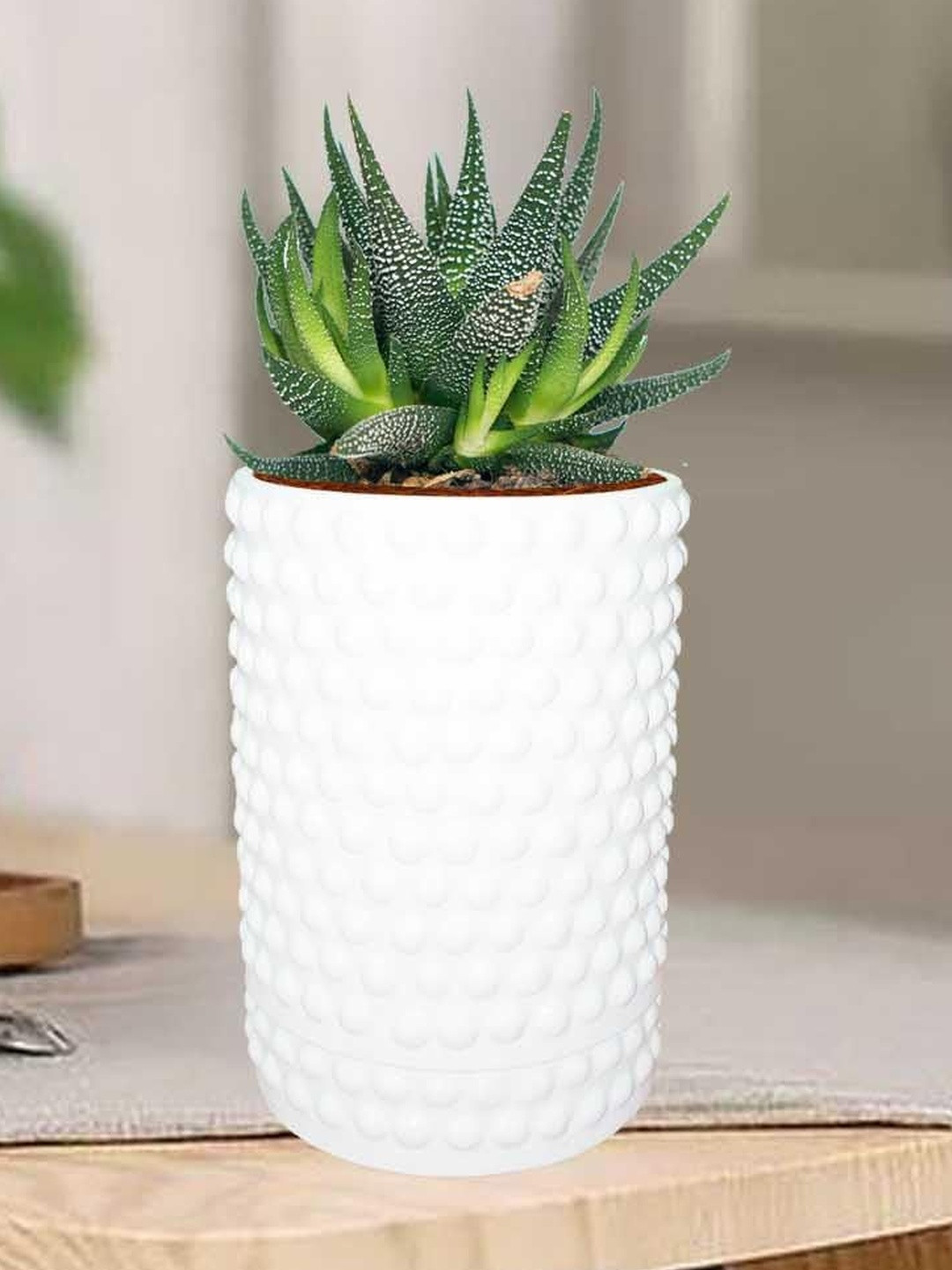LASAKI Bubble White Ceramic Handmade Planter With Plate