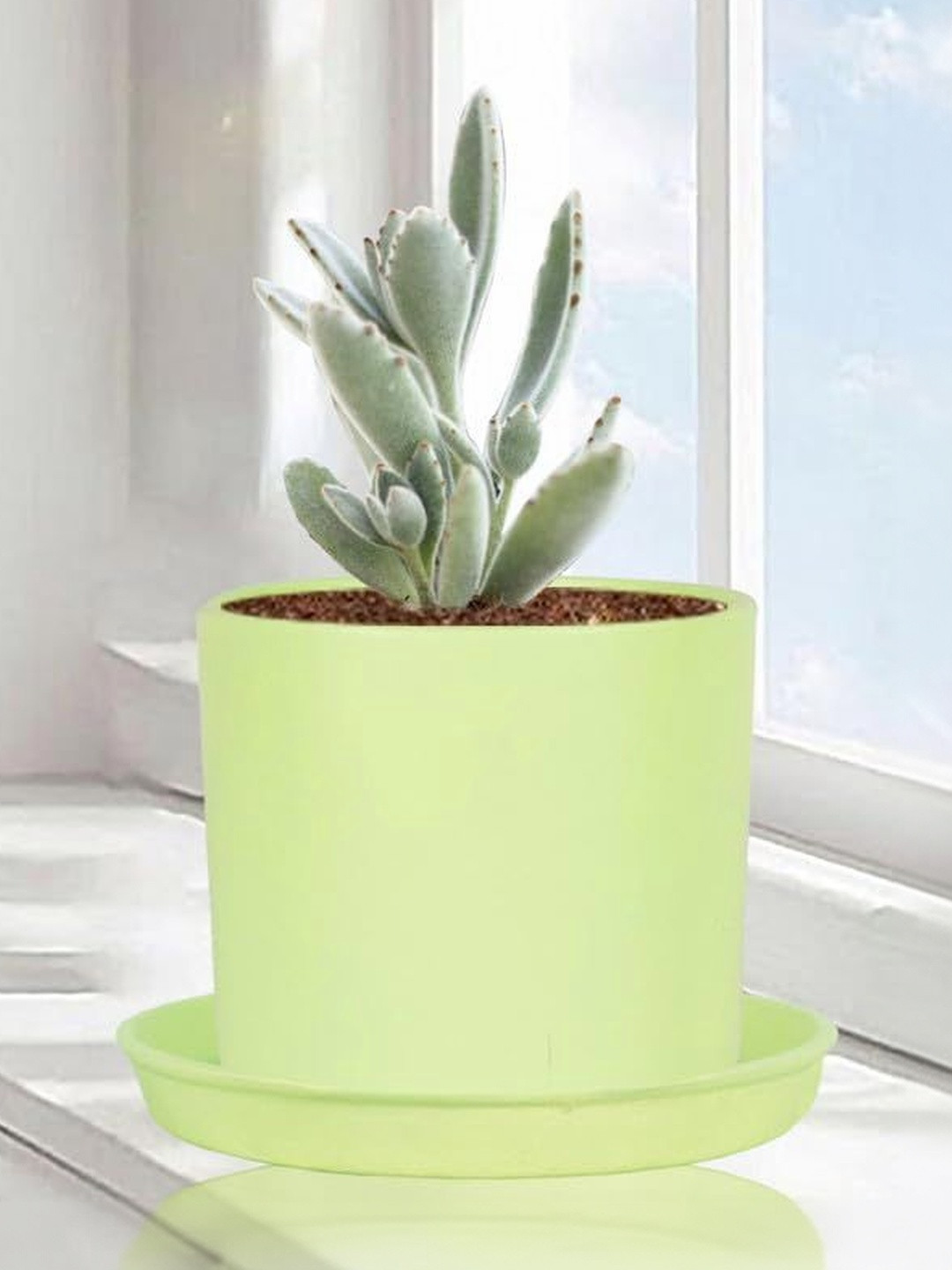 LASAKI Green Ceramic Planter With Plate