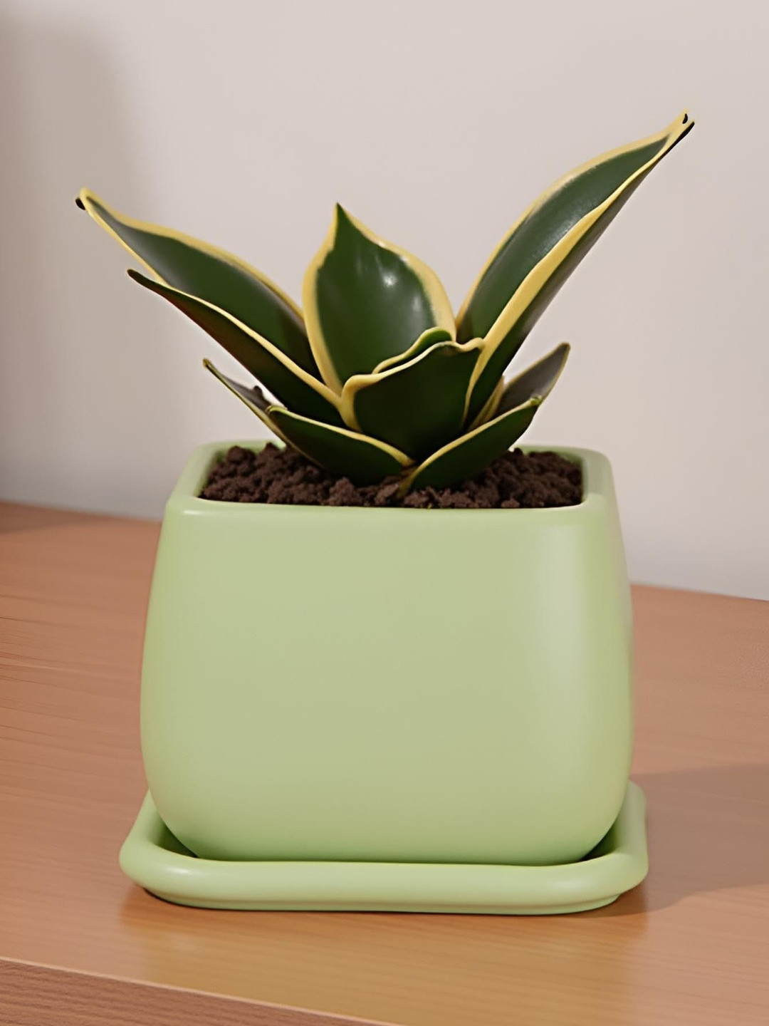 LASAKI Nebi Lime-Green Ceramic Planter With Plate