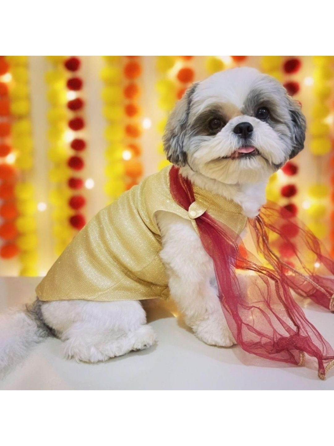 Lulala Traditional Ethnic Dog Dress