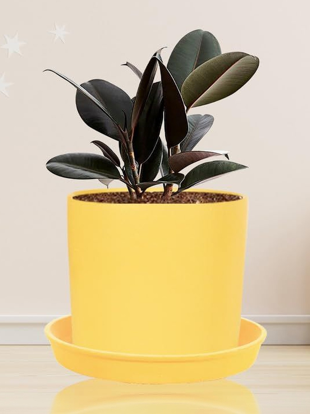 LASAKI Sara Yellow Ceramic Planter With Plate
