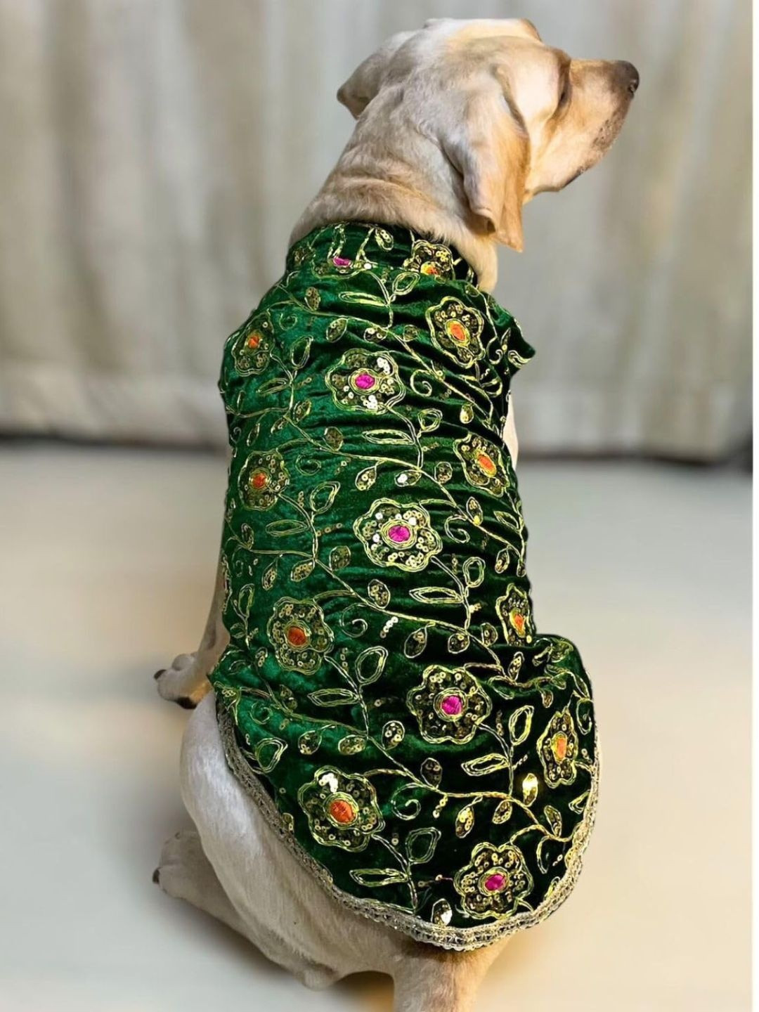 Lulala Green Froral Embroidered Round Neck Lightweight Sequin Work Velvet Ethnic Dog Dress