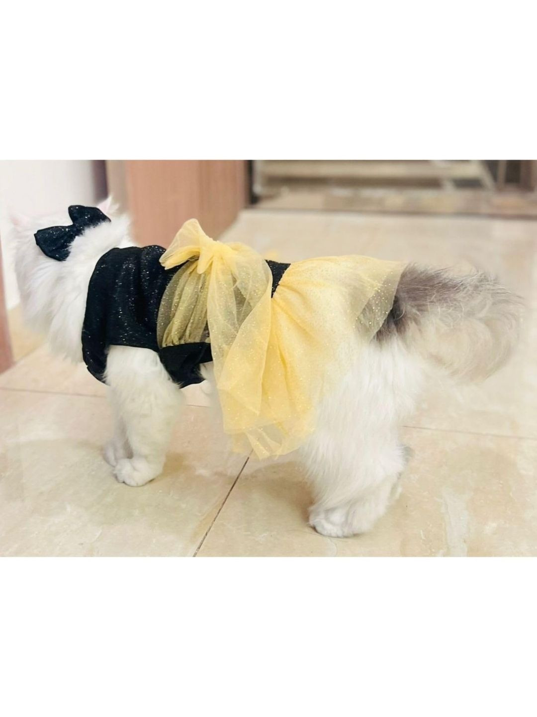 Lulala Embellished Dogs & Cat Dress