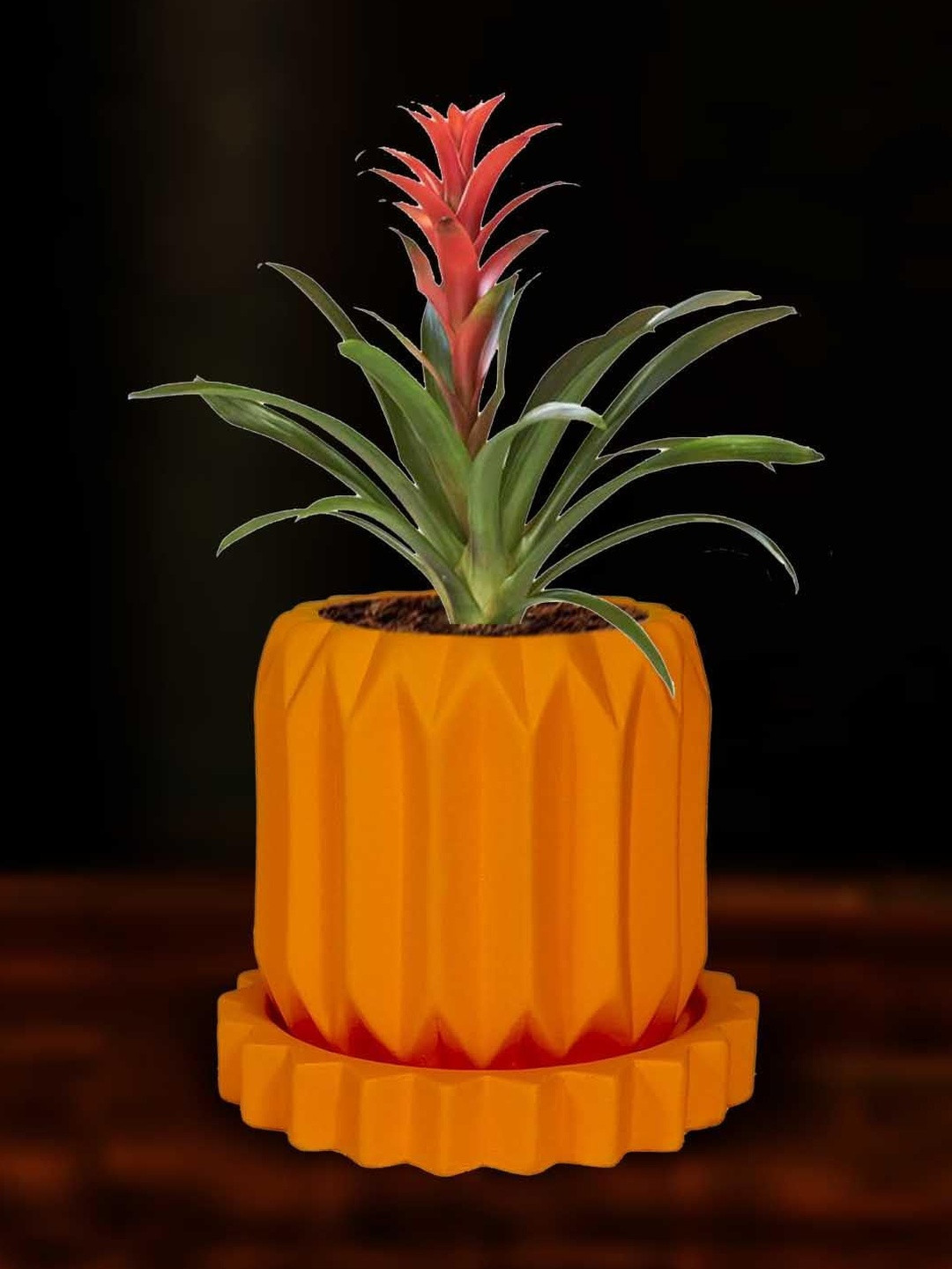 LASAKI Kavira Orange-Colored Textured Ceramic Planter With Plate