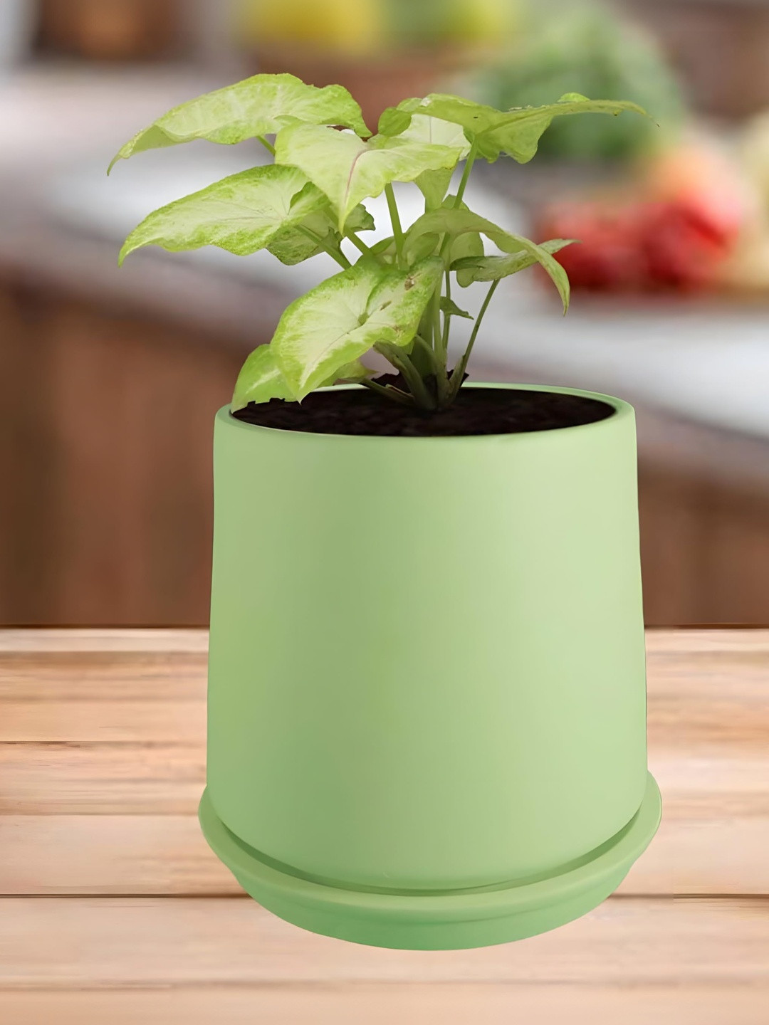 LASAKI Clara Lime-Green Ceramic Handmade Planter With Plate