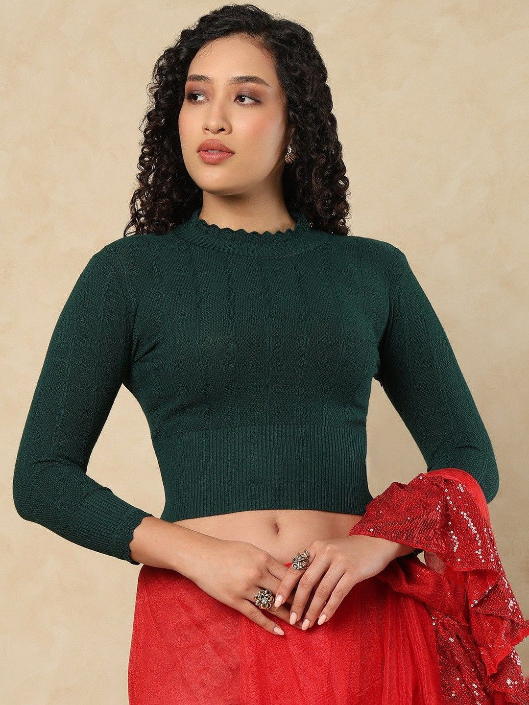 SALWAR STUDIO Turtle Neck Stretchable Saree Blouse