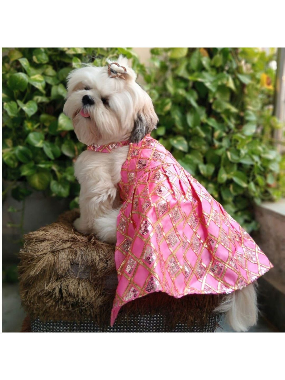 Lulala Self Design Small Dog Dress