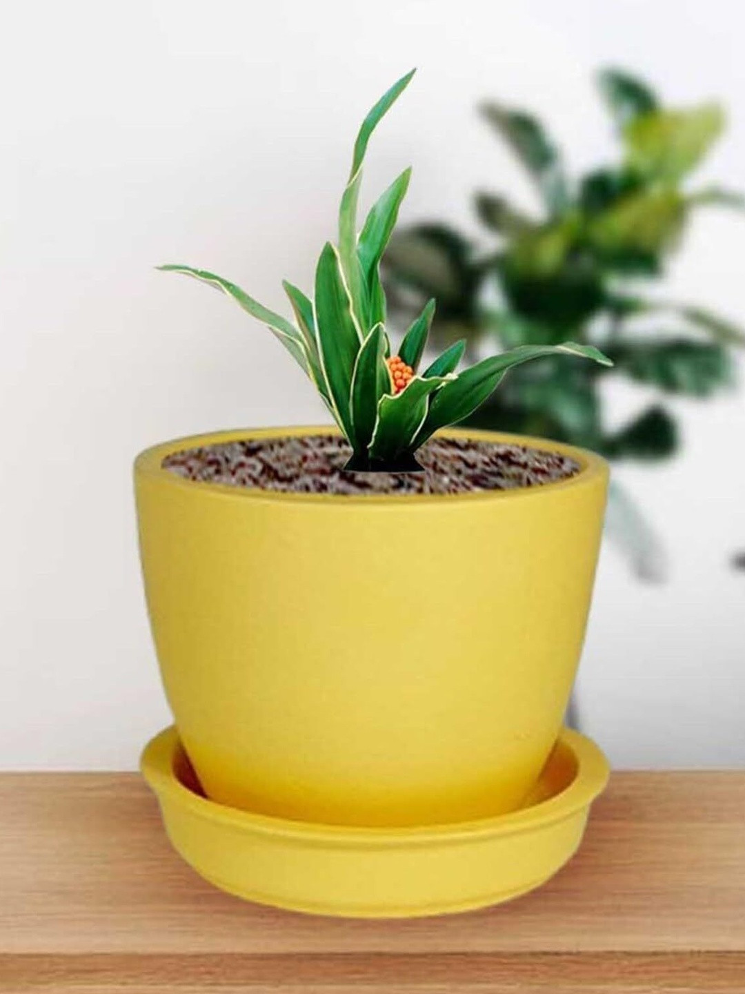 LASAKI Yellow Ceramic Planter With Plate