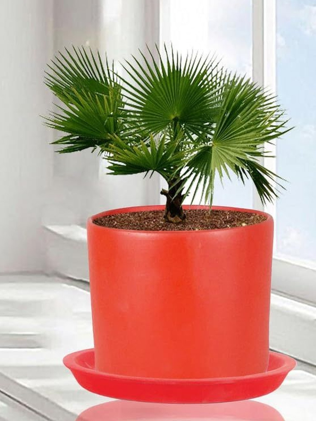 LASAKI Sara Red Ceramic Planter With Plate