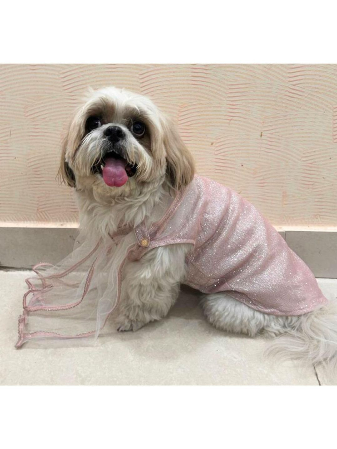 Lulala Traditional Ethnic Indian Outfit Dress for Dogs & Cat