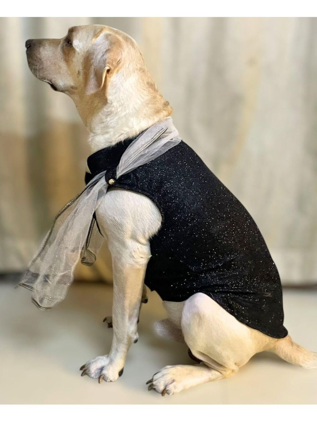 Lulala Embellished Traditional Ethnic Indian Dog Outfit Dress