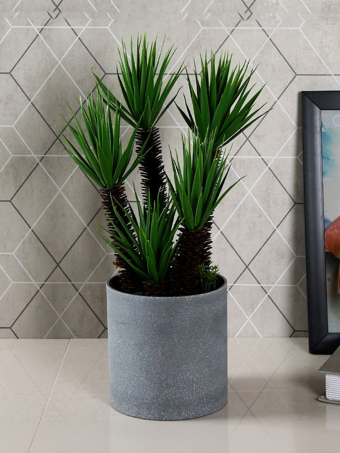 Myntra Elegant Homes Green & Grey Aloe Vera Artificial Plant With Pot