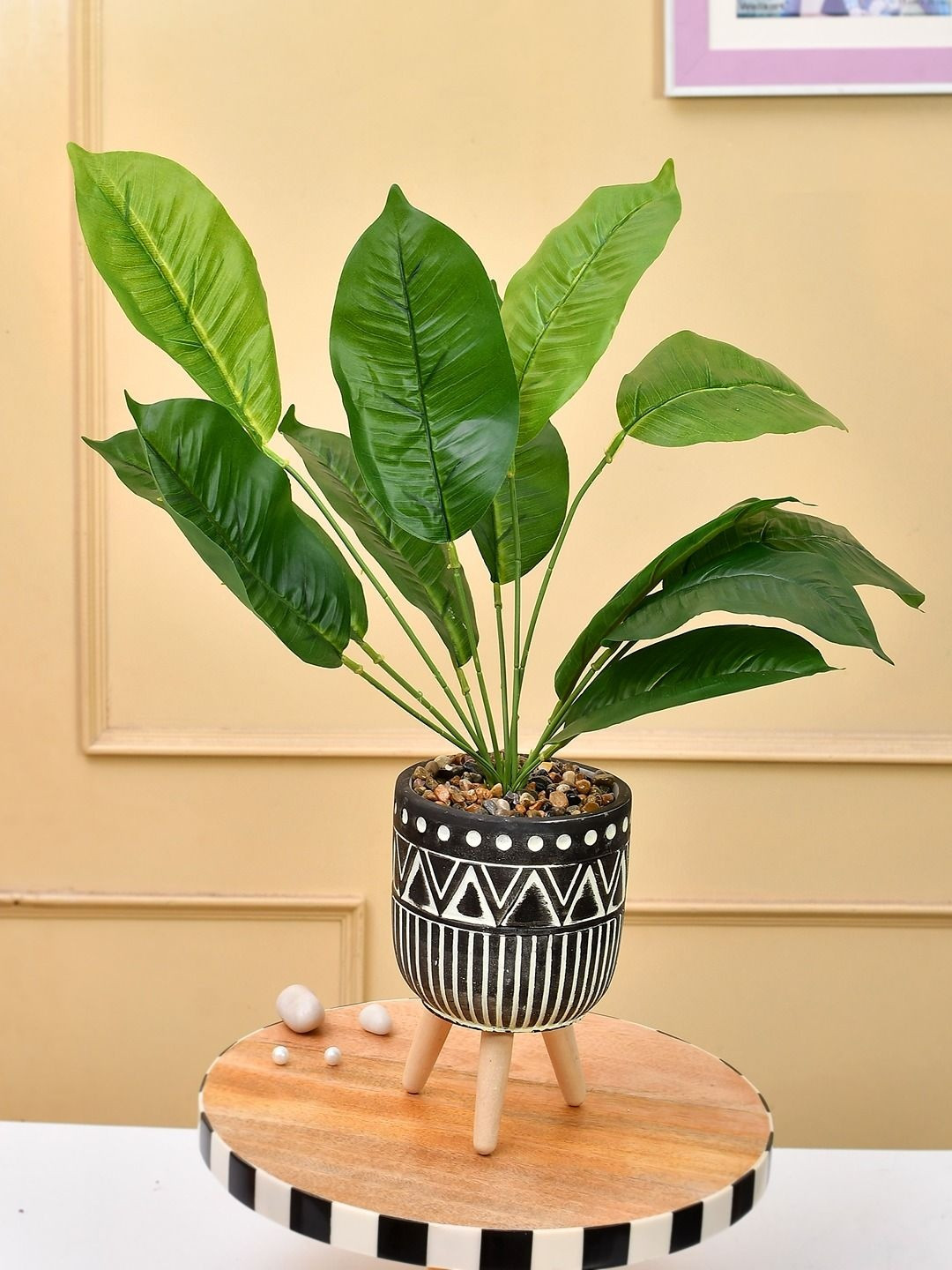 Myntra Elegant Homes Black & Green Ivy Leaf Plant with Tribal Planter