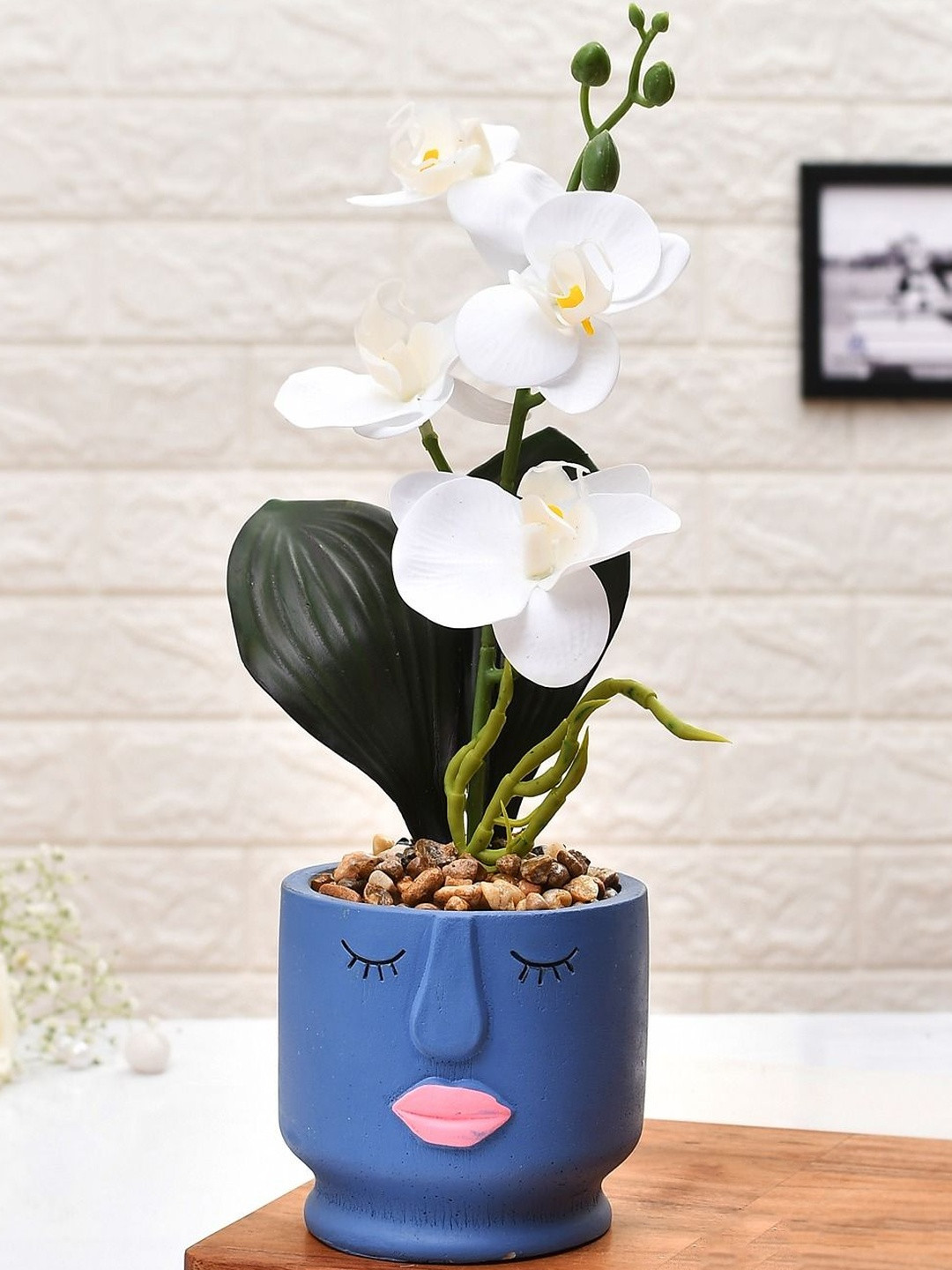 Myntra Elegant Homes Blue & White Artificial Orchids With Face Planter