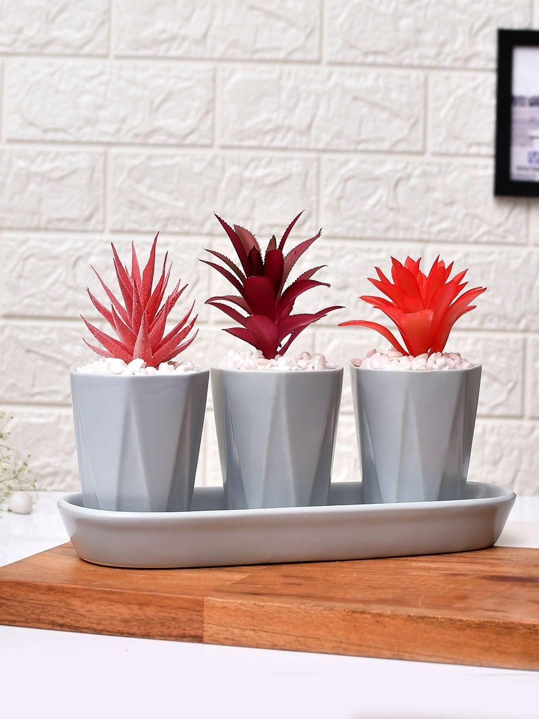 Myntra Elegant Homes White & Red Sucullent Artificial Plants with Ceramic Pot and Tray