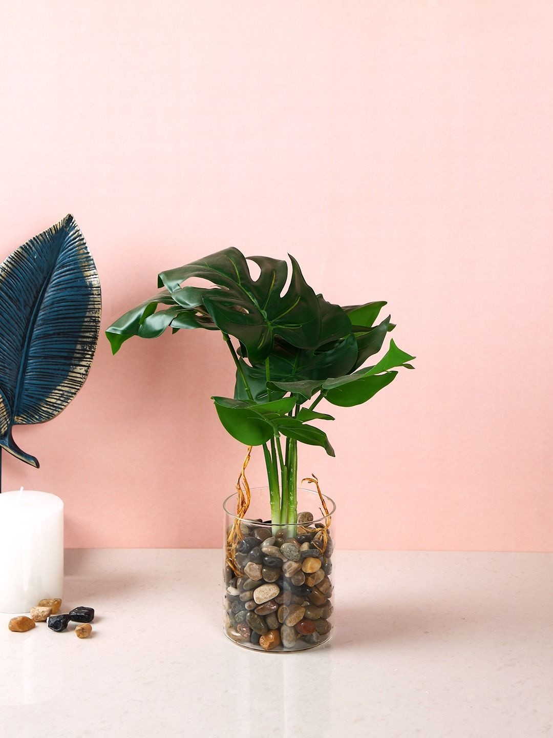 Myntra Elegant Homes Green & Transparent Swiss Cheese Plant with Glass Pot