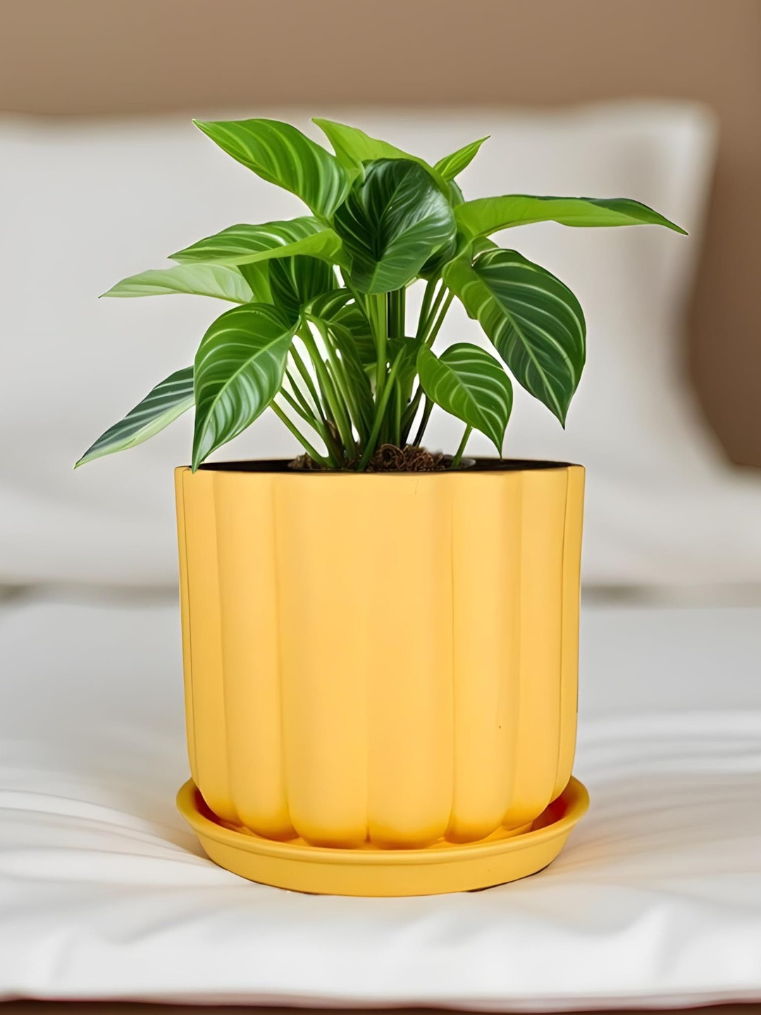 LASAKI Flona Yellow Ceramic Handmade Planter With Plate