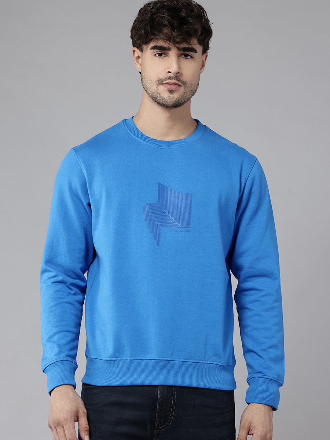 Park Avenue Chevron Printed Round Neck Pullover