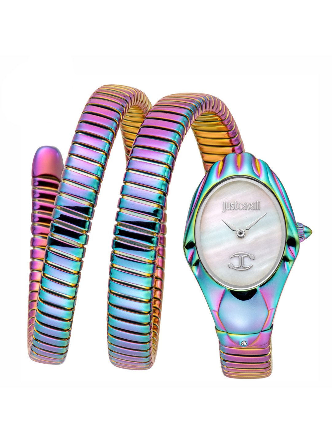 Just Cavalli Rainbow Collection  Women Dial & Straps Analogue Watch JC1L184M0105