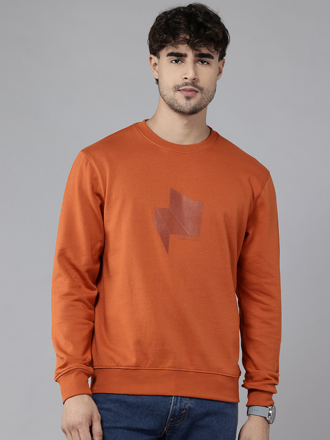 Park Avenue Chevron Printed Round Neck Pullover