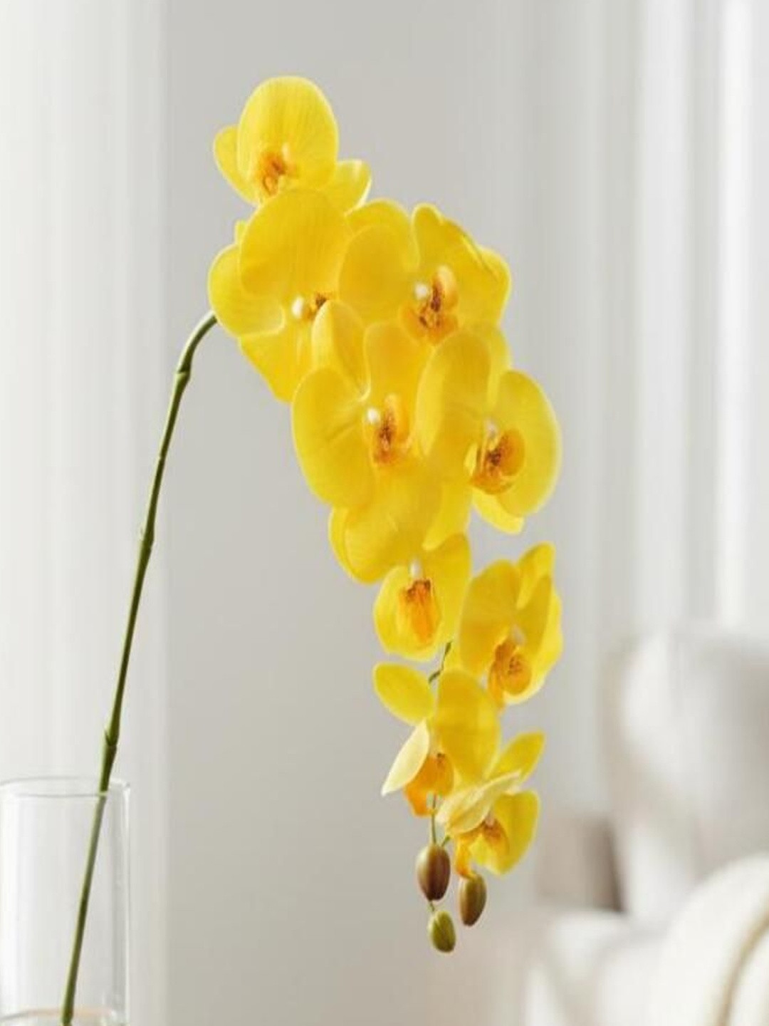 paperi Yellow Orchid Without Pot Non-Hanging Artificial Flower
