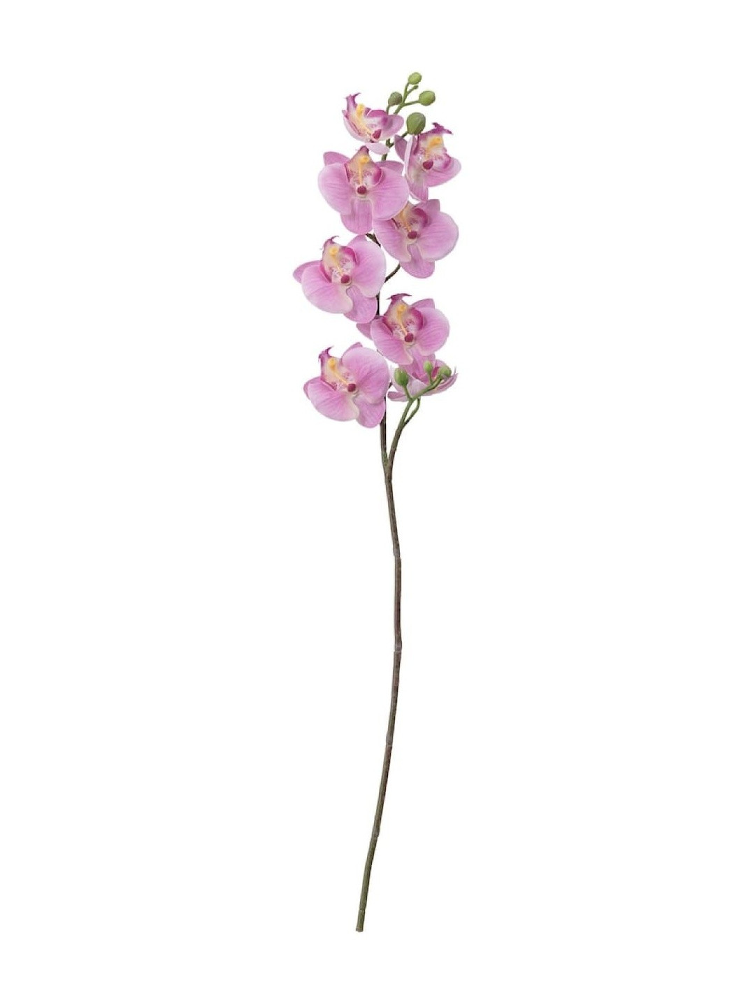 paperi Pink & Green Orchid Artificial Flower