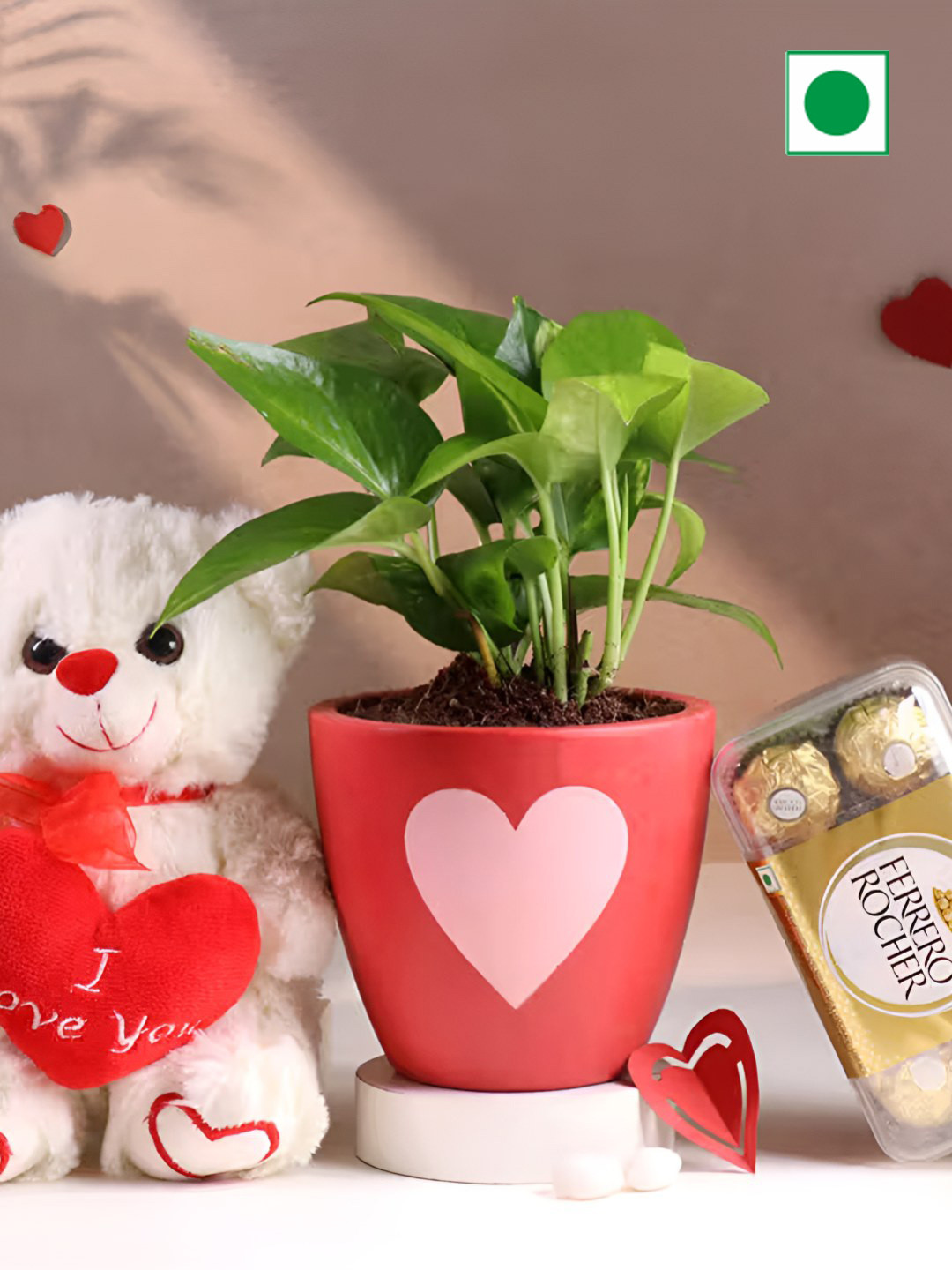 Floweraura 3Pcs Money Plant In Love Pot Teddy & Chocolate Gifts
