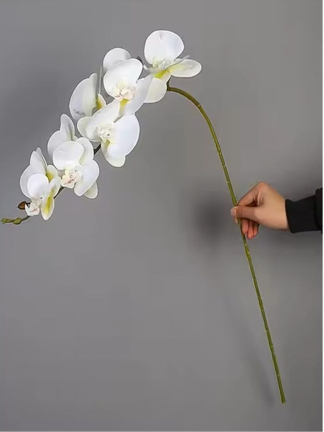 paperi White & Green Orchid Artificial Flower