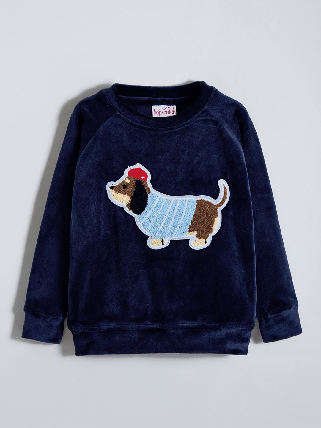 Hopscotch Boys Puppy Embroidered Round Neck Cotton Sweatshirt