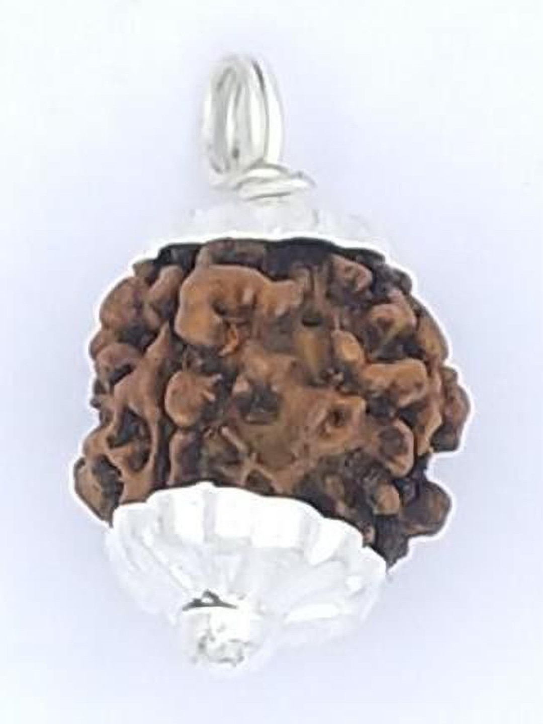 RAVIOUR LIFESTYLE Unisex 5 Mukhi Rudraksha Alloy Pendants