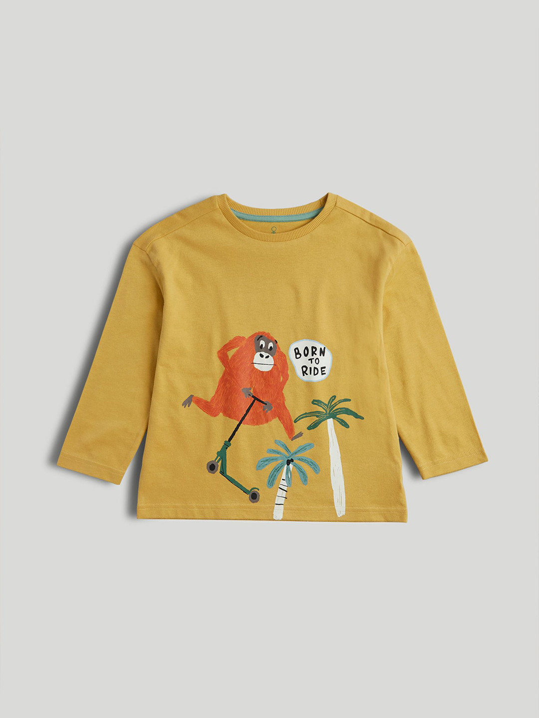 mothercare Boys Autumn Palms Printed Full Sleeve Regular Fit Cotton T-shirt