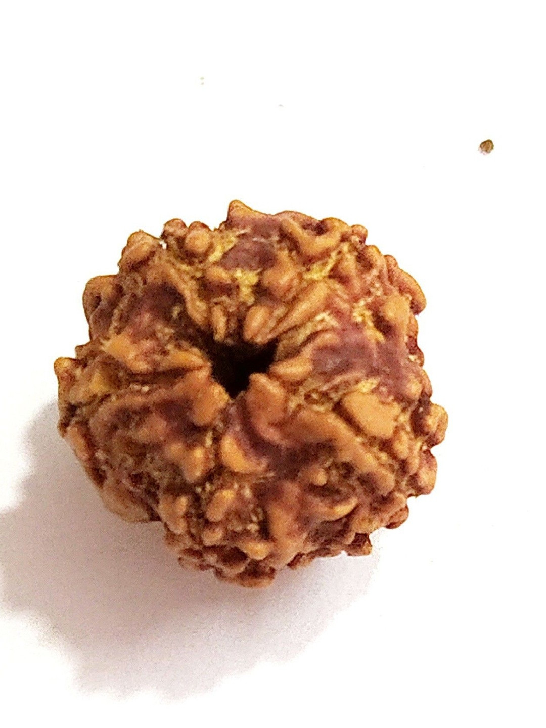 RAVIOUR LIFESTYLE Unisex Alloy 5 Mukhi Rudraksh Pendants With JGL Lab Certi Wood