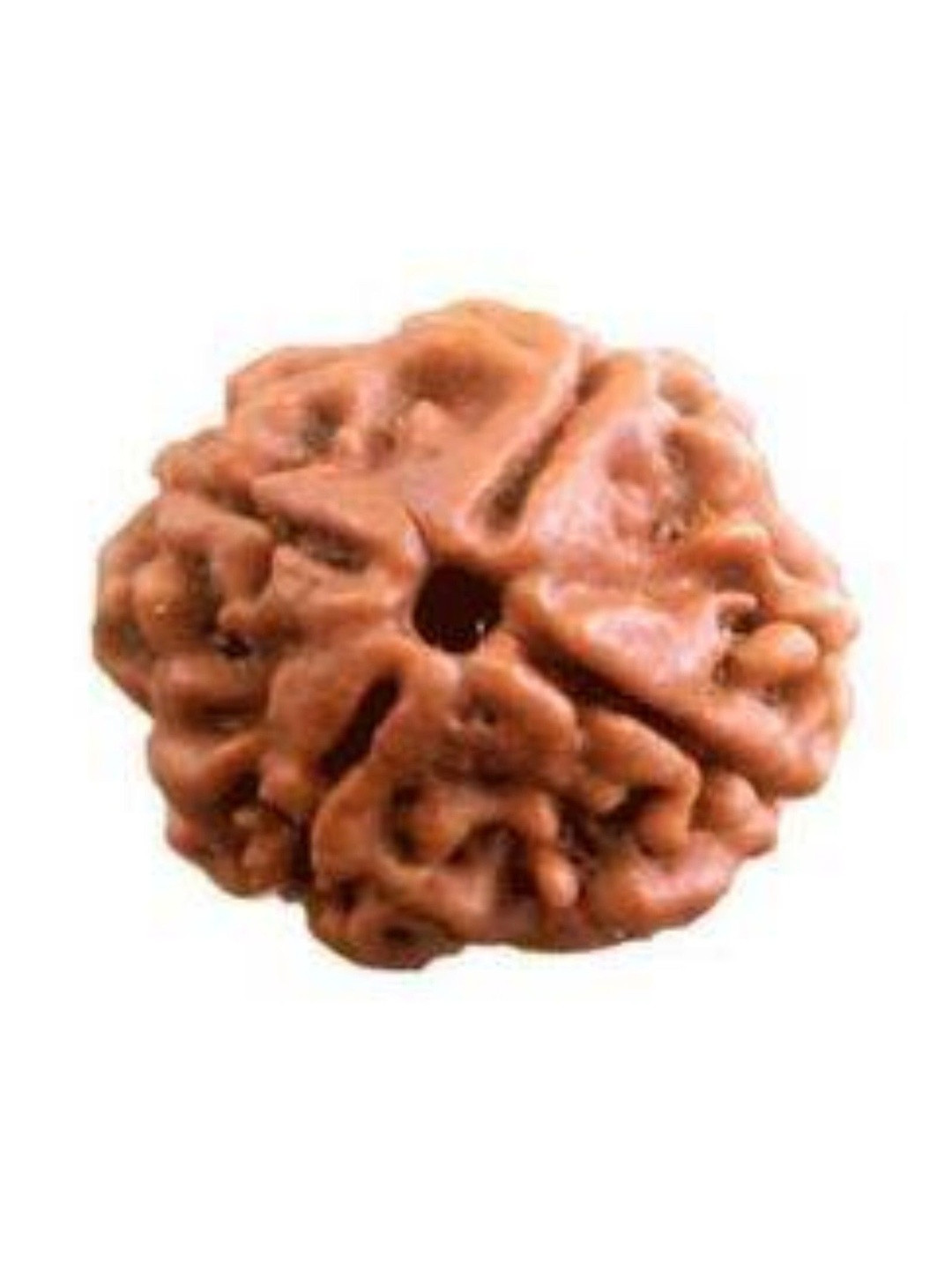 RAVIOUR LIFESTYLE Quirky Four Face Rudraksha Natural Wood Pendant