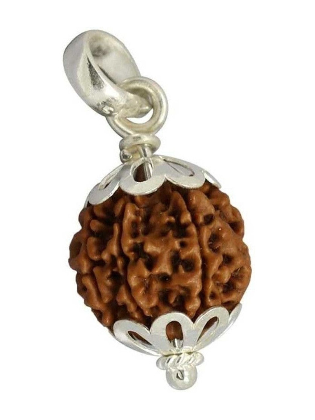 RAVIOUR LIFESTYLE Jewelswonder Original & Natural 7 Mukhi Rudraksha