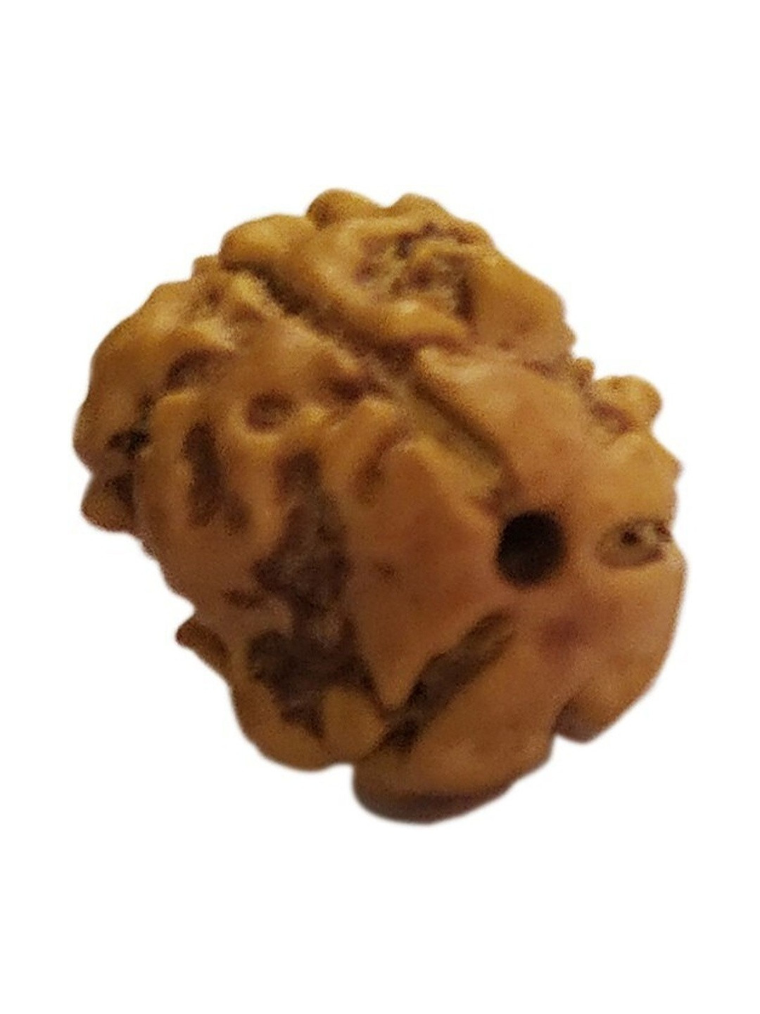 RAVIOUR LIFESTYLE Original & Natural Teen Mukhi Rudraksh & JGL Lab Certified Wood Pendant