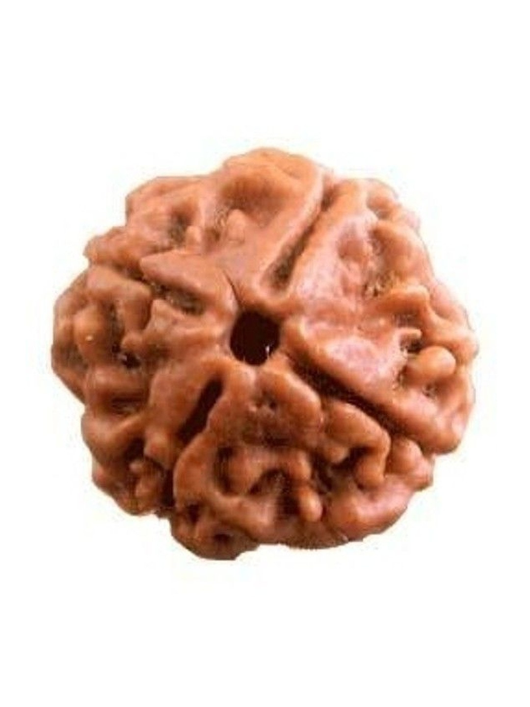 RAVIOUR LIFESTYLE Unisex Quirky 4 Face Rudraksha 100% original Wood Pendants