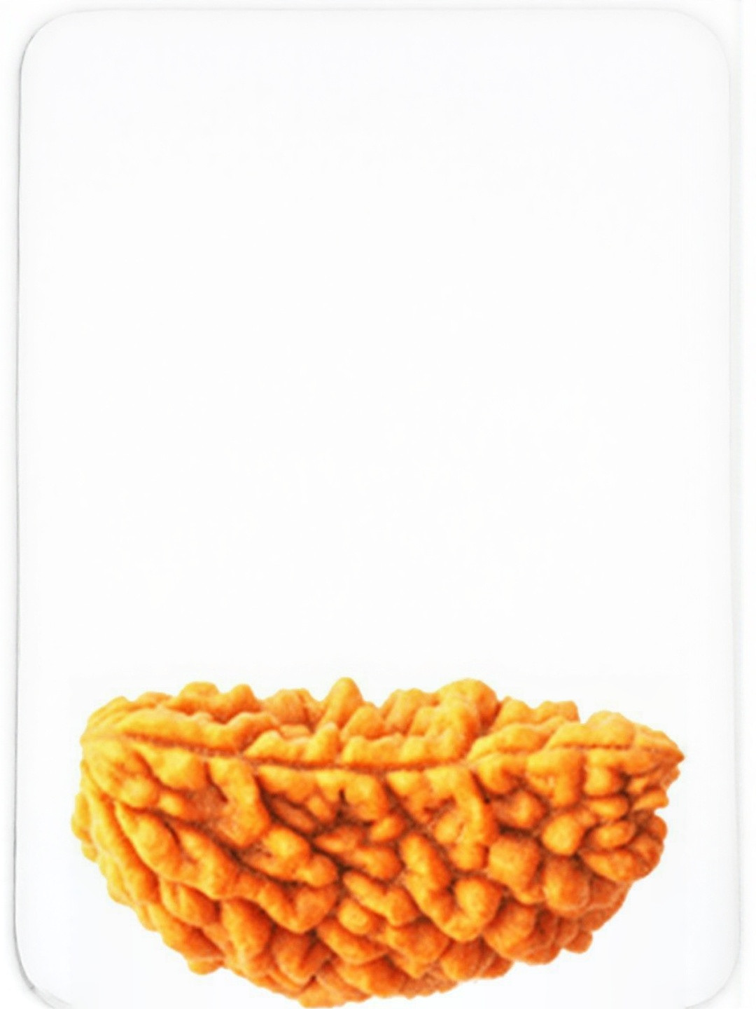 RAVIOUR LIFESTYLE Unisex Sangam creation Natural 1 Mukhi Certified Rudraksha Wood Pendants