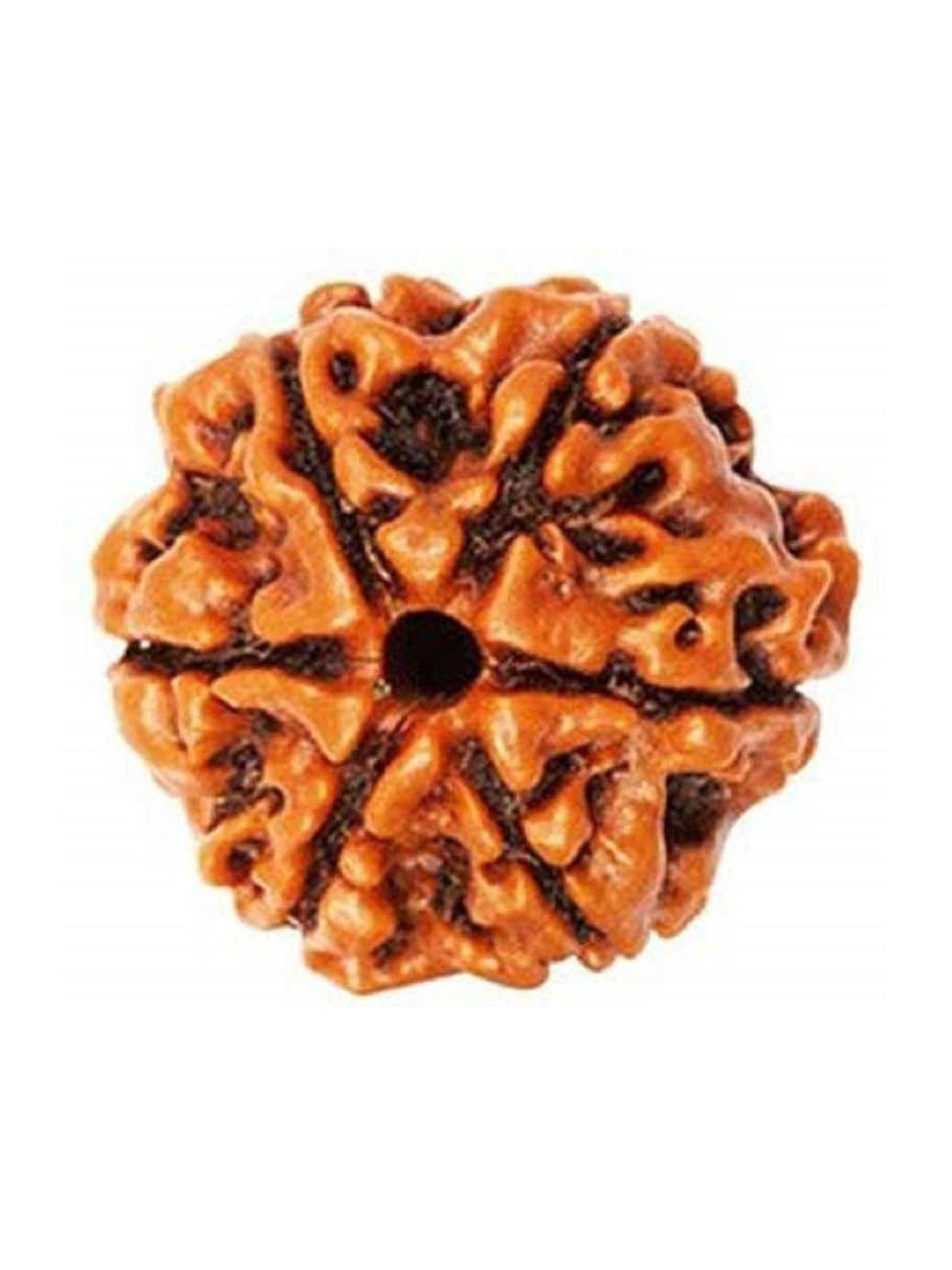 RAVIOUR LIFESTYLE Unisex  5 Mukhi Rudraksha Beads Spherical Pendants